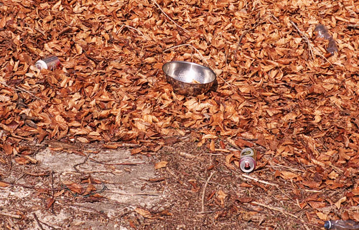 il giardino s' fiorito crop.jpg