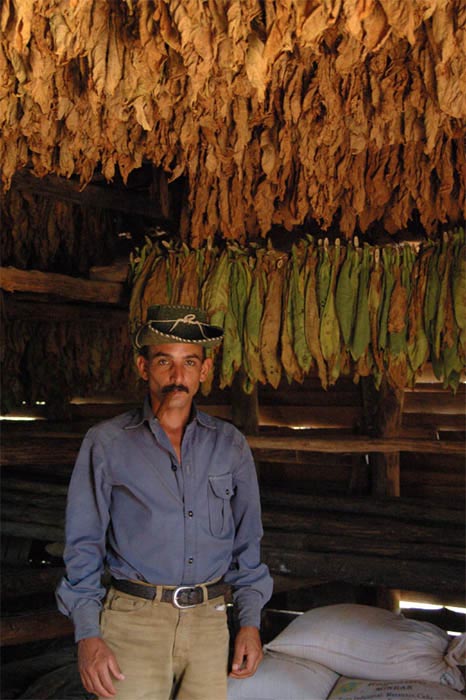 il gringo e il suo tabacco.jpg
