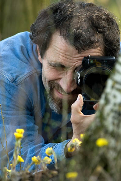 il moret.jpg