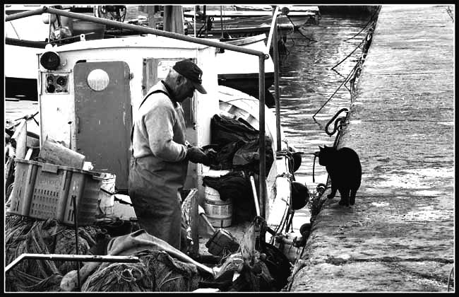 il_pescatore_ed_il_gatto.jpg
