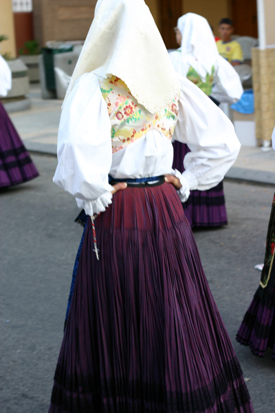il viola.jpg