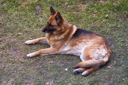 ilka 002270206.jpg