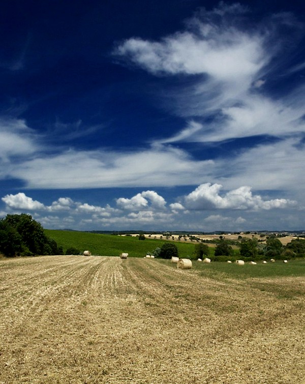 Image00001.jpg