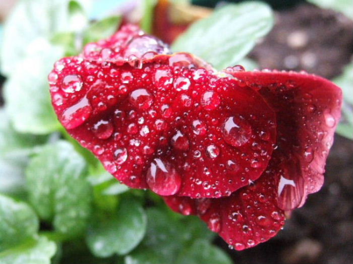 Image00004.jpg