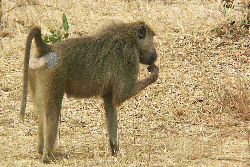 Image00006.jpg