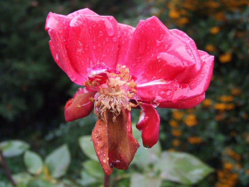 Image00008.jpg