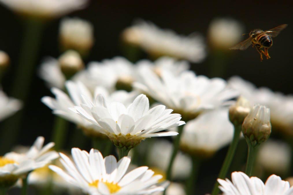 Image00008.jpg