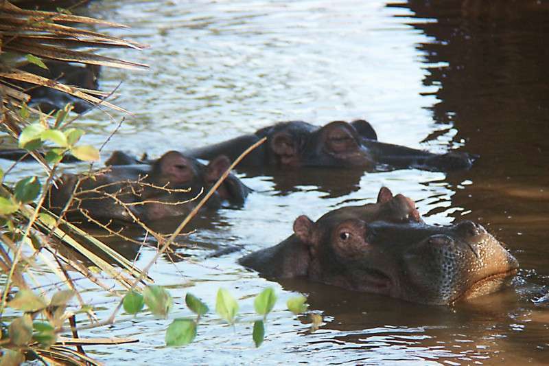 Image00008.jpg