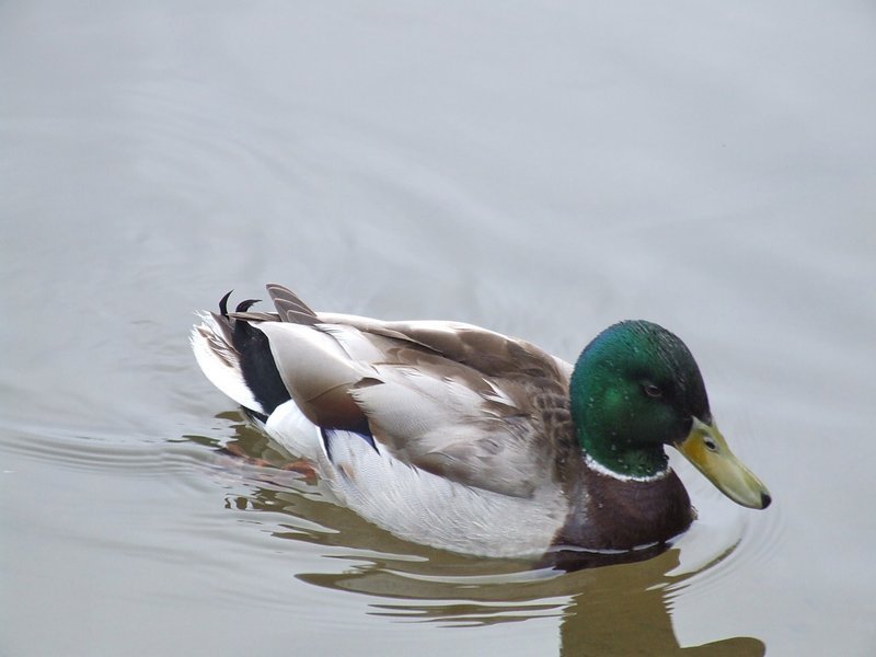 Image00059.jpg