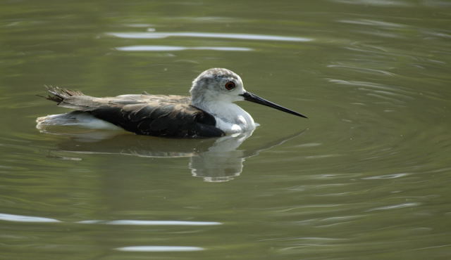image0006.jpg