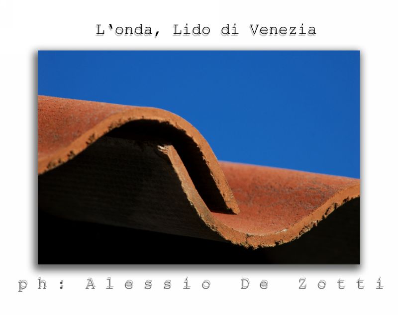 image0075 copia.jpg