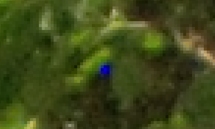 Image1.jpg