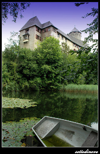 Image1.jpg