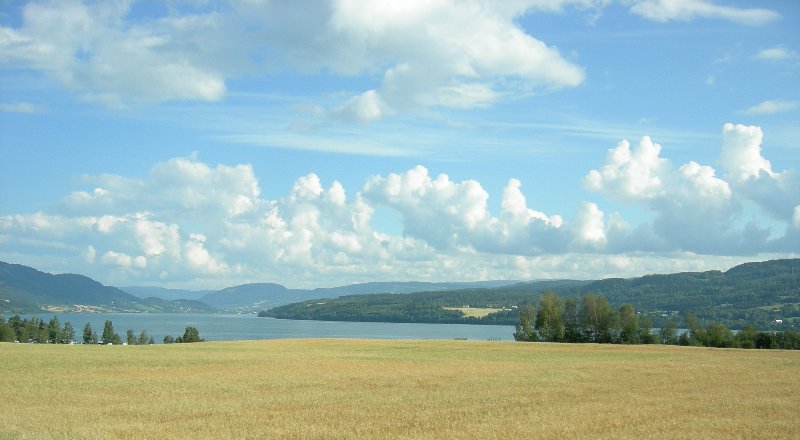 Image1.jpg