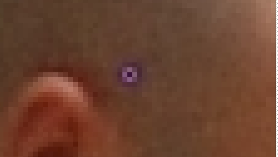 Image1.jpg