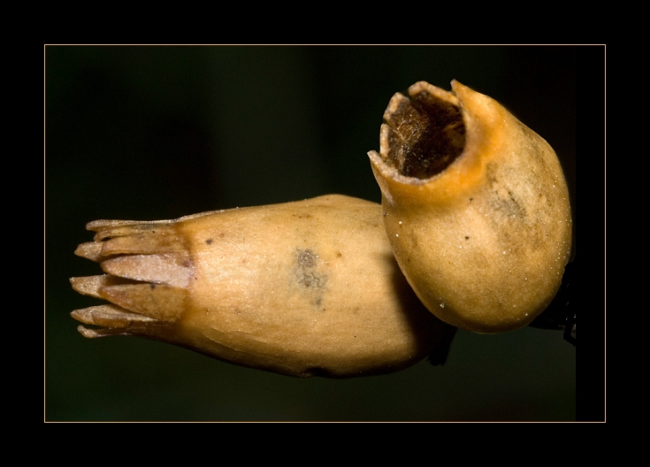 Image1.jpg