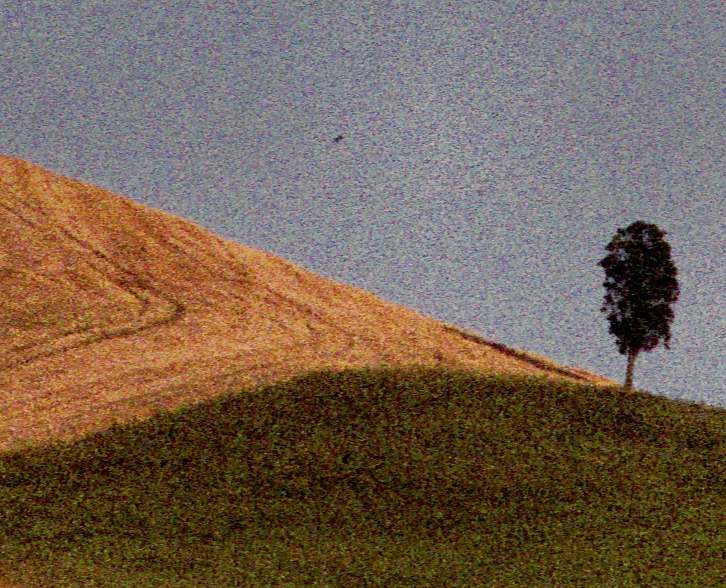 Image302crop.JPG
