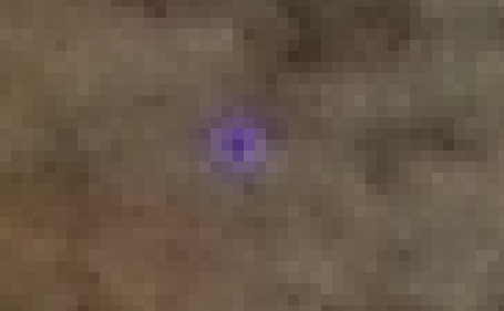Image4.jpg