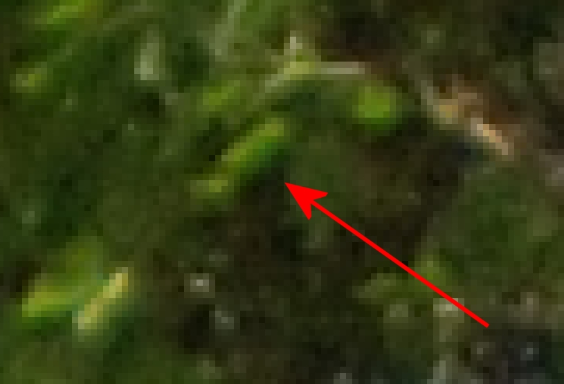 Image4.jpg