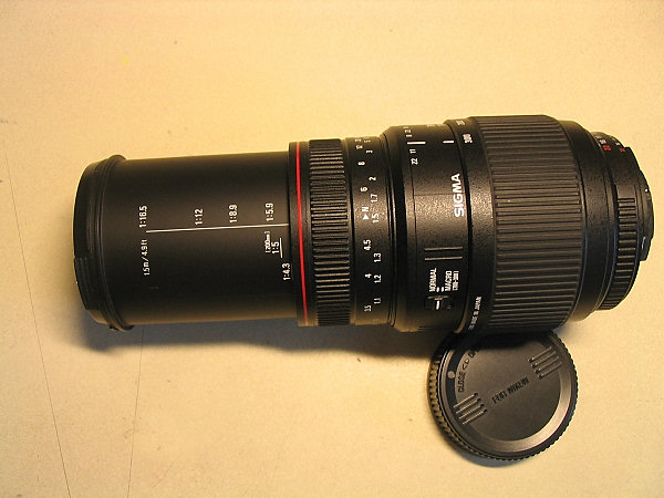 Image6.jpg