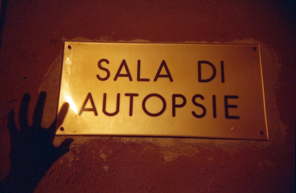 Image_5.jpg