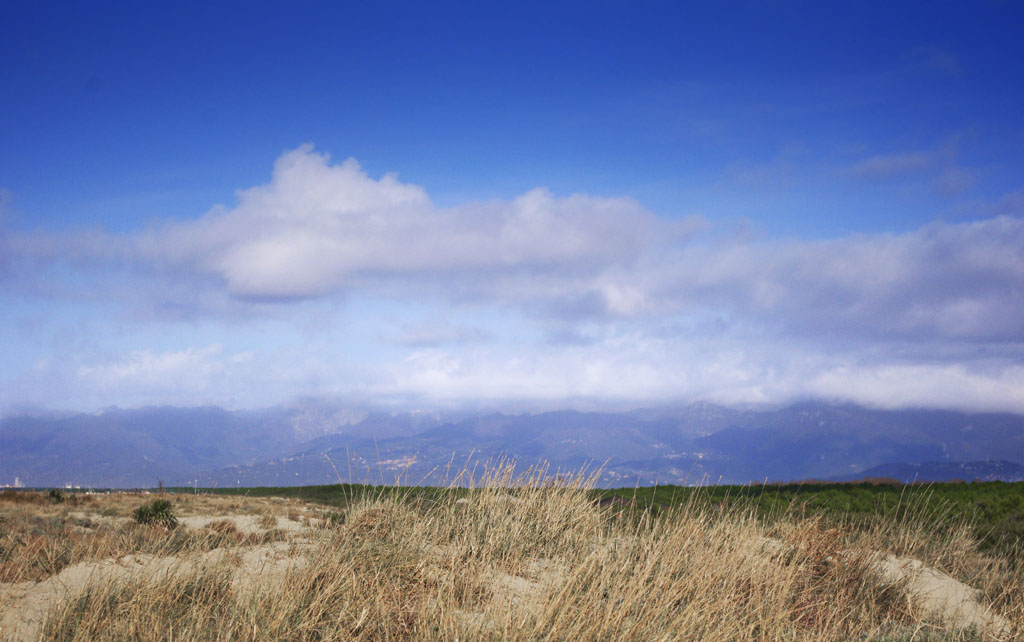 IMaGP3743.jpg