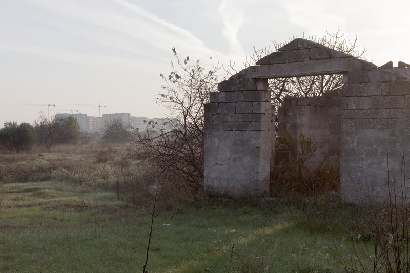 img.2.jpg