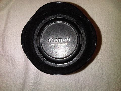 IMG00045-20090715-1518.jpg