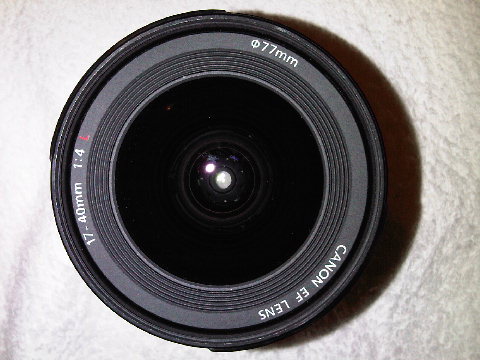 IMG00047-20090715-1519.jpg