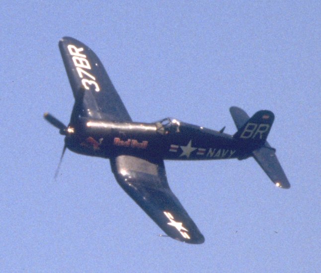 IMG0024.jpg