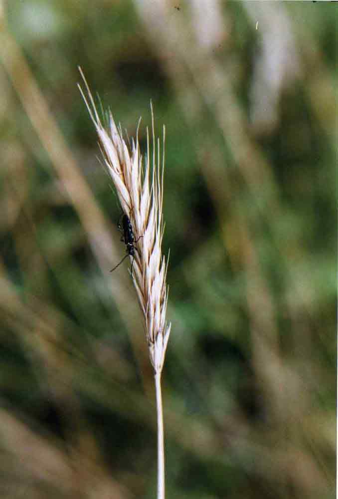 img002_web.jpg