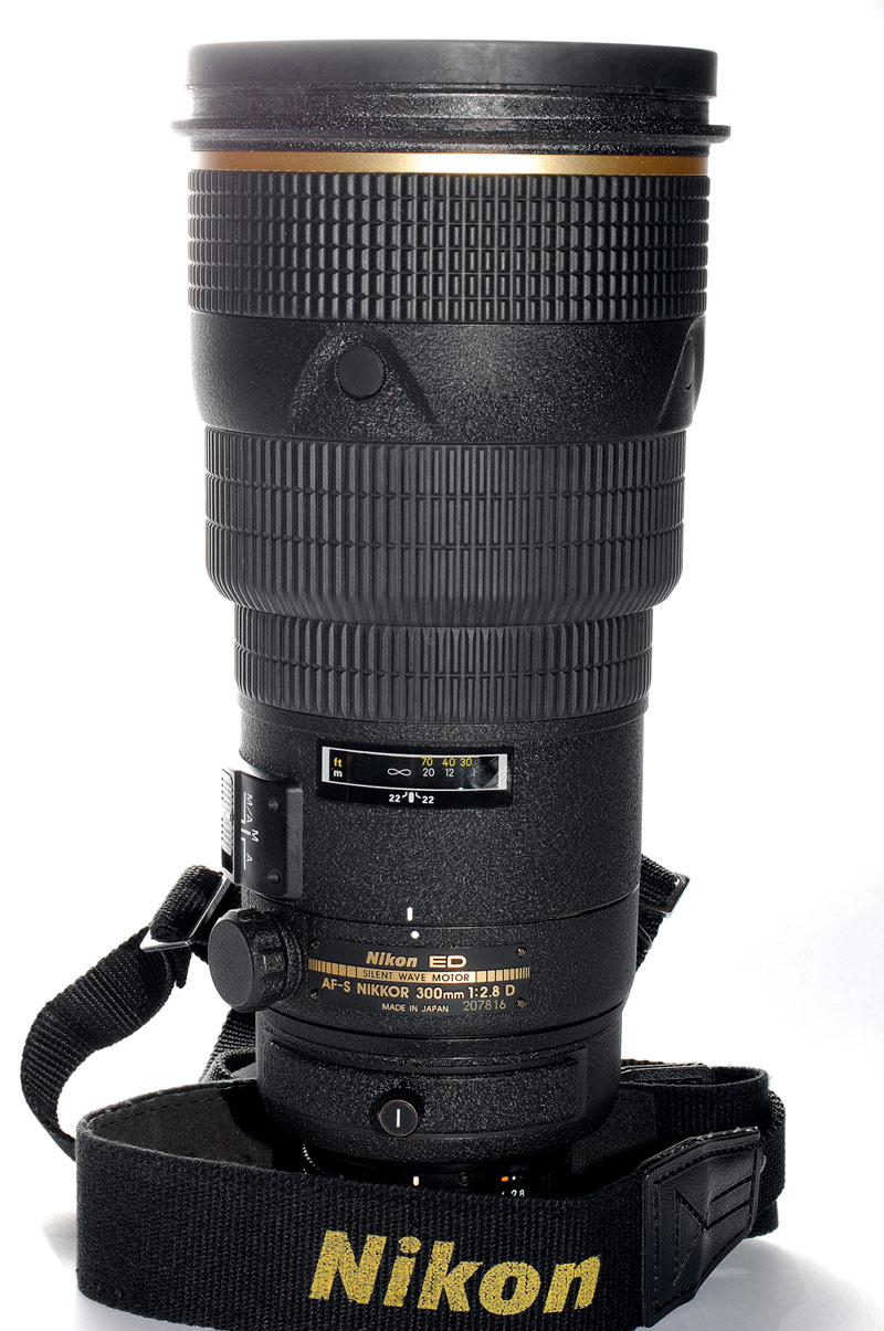 Img0037-BCPhoto4.jpg