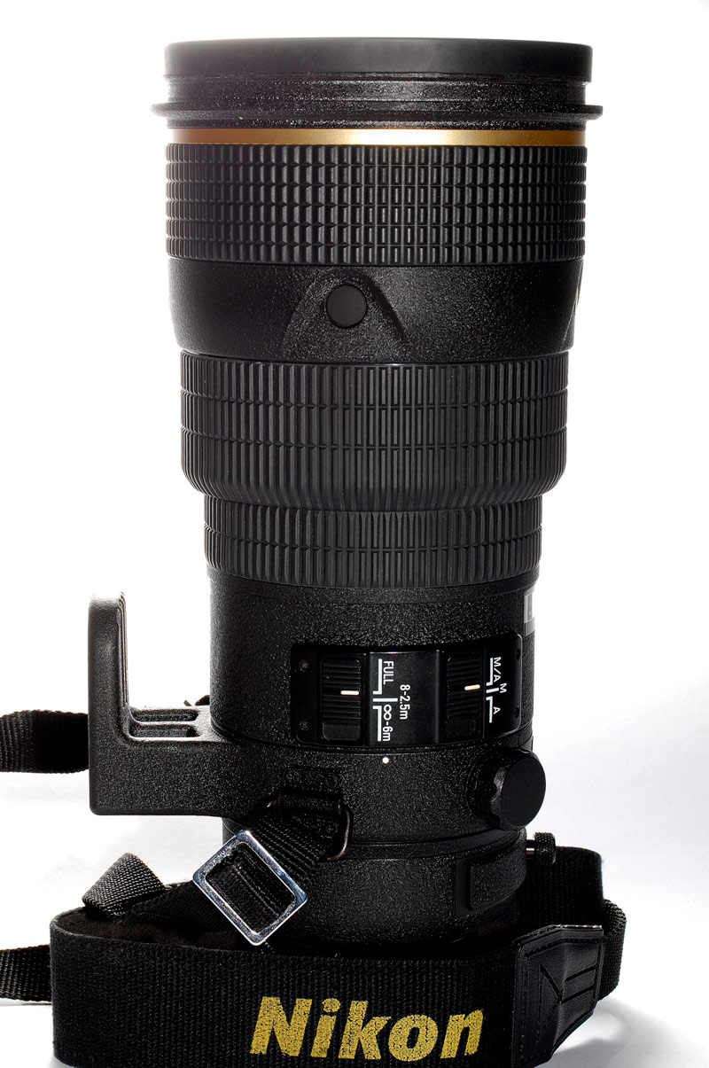 Img0038-BCPhoto4.jpg