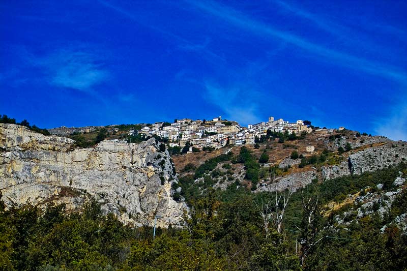 IMG00718.jpg