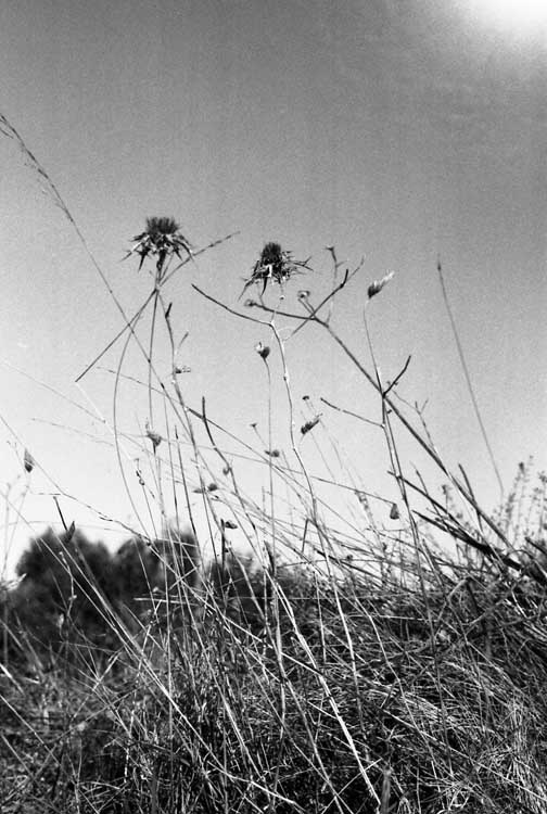 img007.jpg