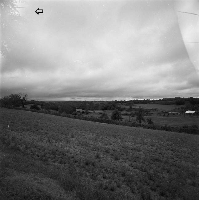 img009 copia.jpg