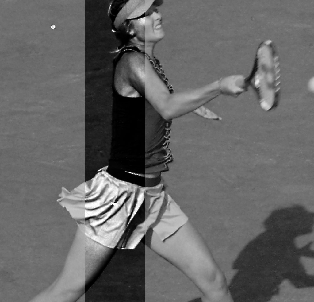 img017 crop.jpg