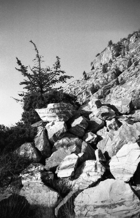 img019.jpg