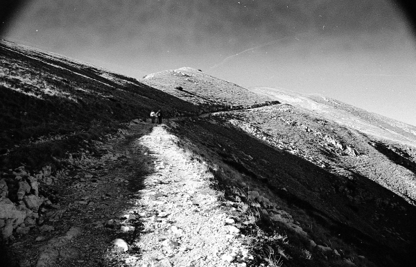 img029.jpg