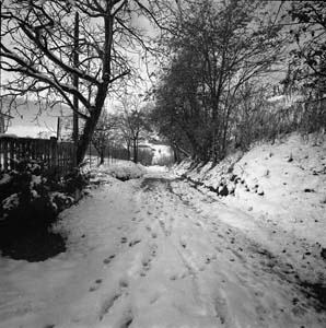 img04a.jpg
