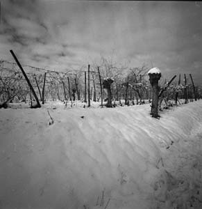img05a.jpg