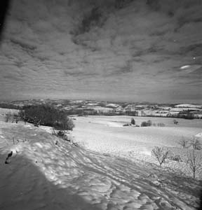 img06a.jpg