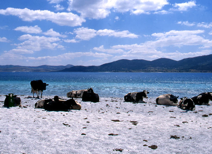 img073www3.jpg