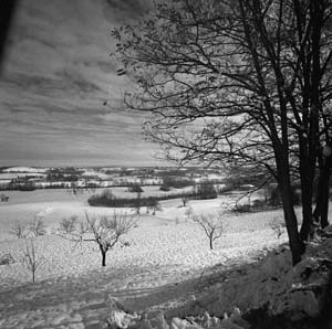 img07a.jpg