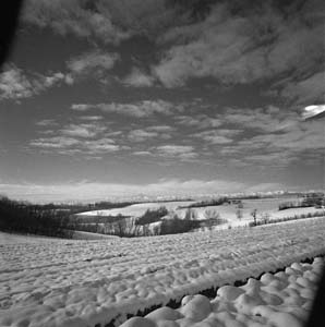 img08a.jpg