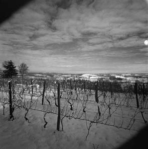 img09a.jpg