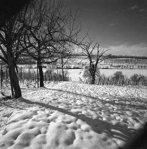 img10a.jpg