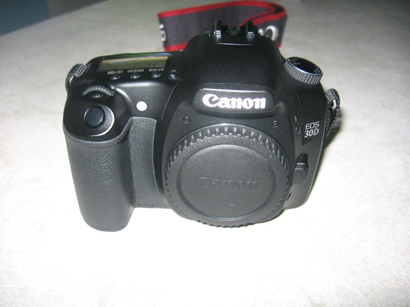 img1160rm5.jpg