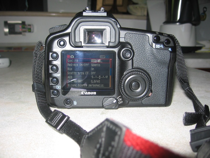 img1164nd6.jpg