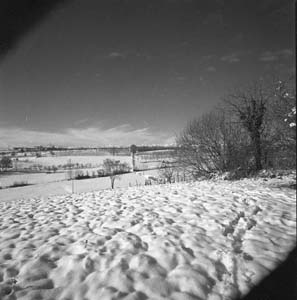 img11a.jpg